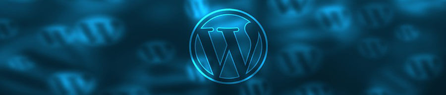Custom WordPress Sites
